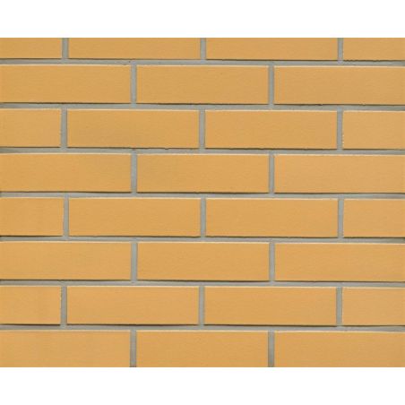 	Плитка клинкерная Feldhaus Amari Liso