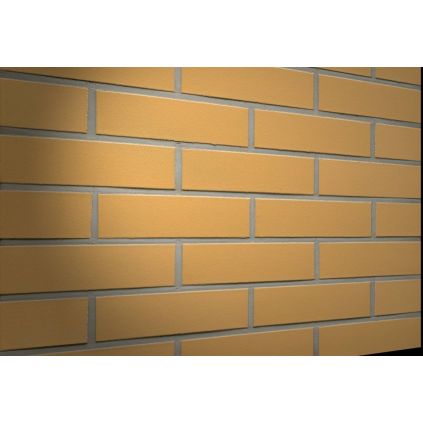 Плитка клінкерна Feldhaus classik...