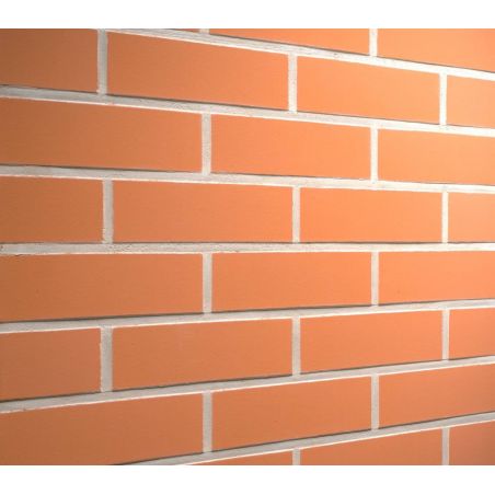 	Плитка клинкерная Feldhaus Terracotta liso