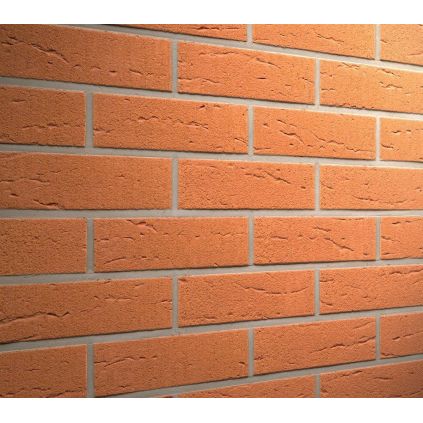 Tiles clinker Feldhaus classik...