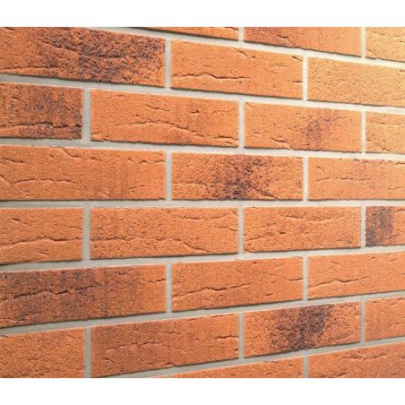 	Плитка клинкерная Feldhaus Terracotta rustico carbo