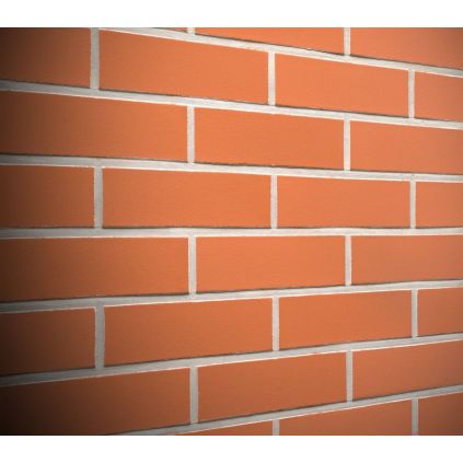 Tiles clinker Feldhaus classik...