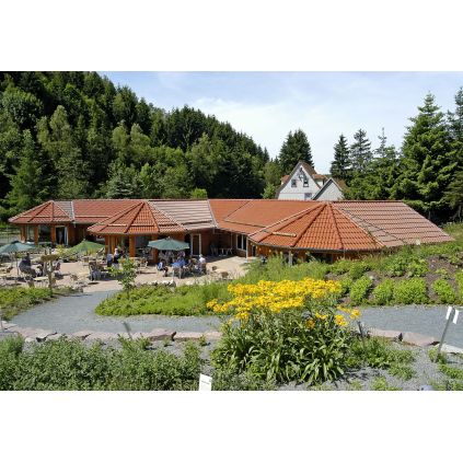 Черепиця Nelskamp DS 5 натуральна...