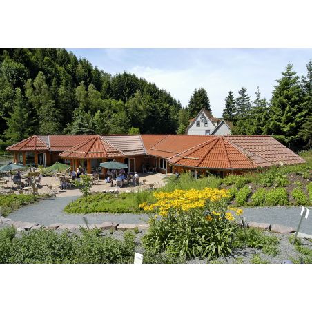 Черепица Nelskamp DS 5 натуральная красная