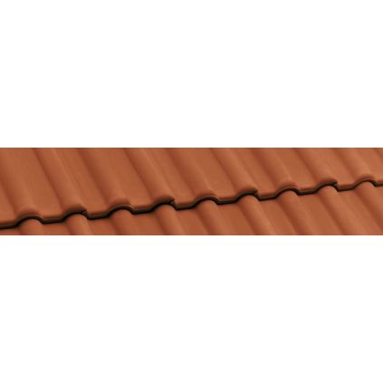 Черепиця Nelskamp DS 5 натуральна...