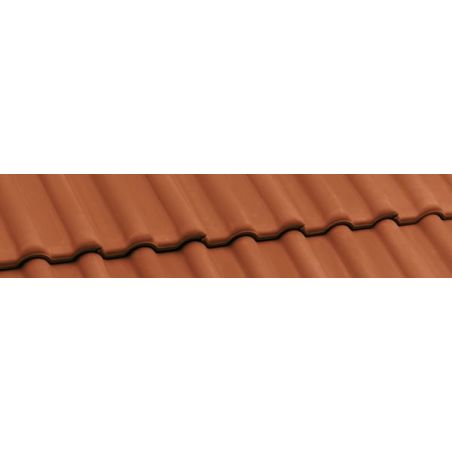 Черепица Nelskamp DS 5 натуральная красная