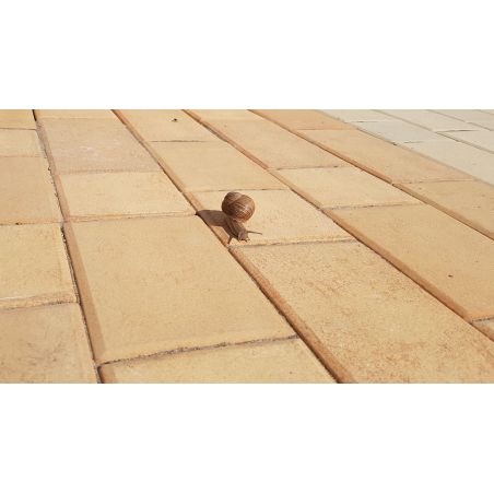 Плитка для мощения Agrob Buchtal Piazza