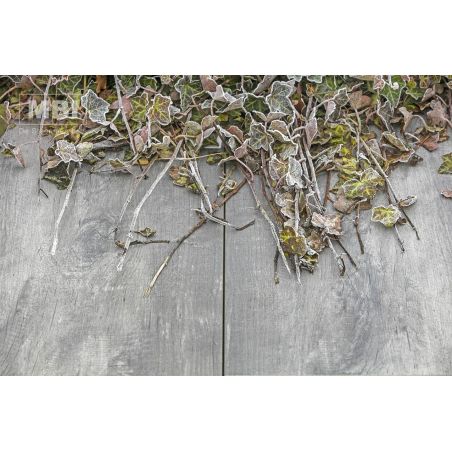 Террасная плита GeoCeramica Timber Grigio