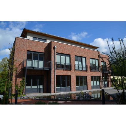 Klinker bricks 1707 antik Olfry