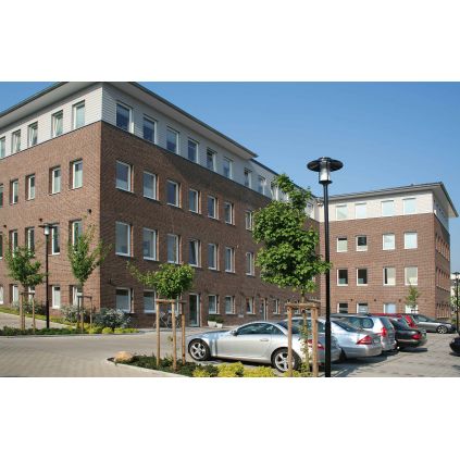 Klinker bricks Moorbraun Olfry