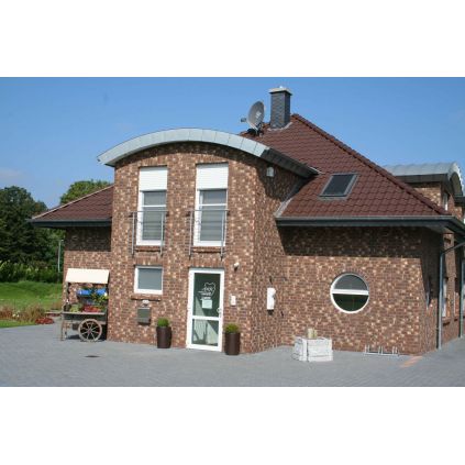 Цегла клінкерна Moorbraun Gelb Olfry