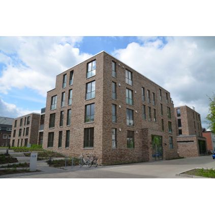 Klinker bricks Grau bunt deLuxe Olfry...