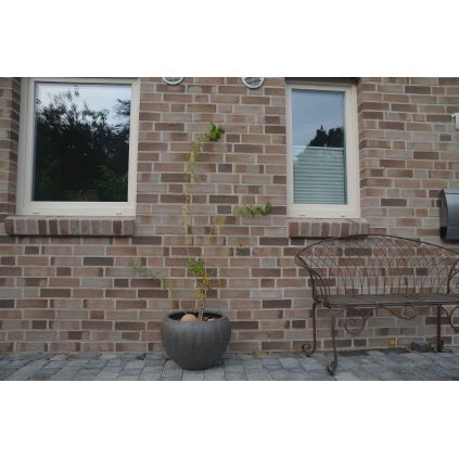 Кирпич клинкерный Grau bunt de Luxe Olfry