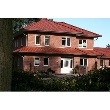 Klinker bricks Bunt Premium Olfry
