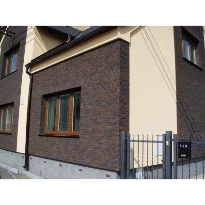 Brick hand molding Pasaya