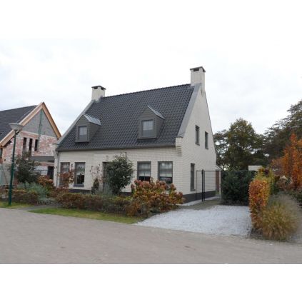 Цегла ручного формування Chablis