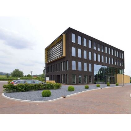 Цегла ручного формування Merlot