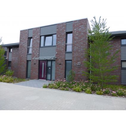 Клінкерна цегла Bristol