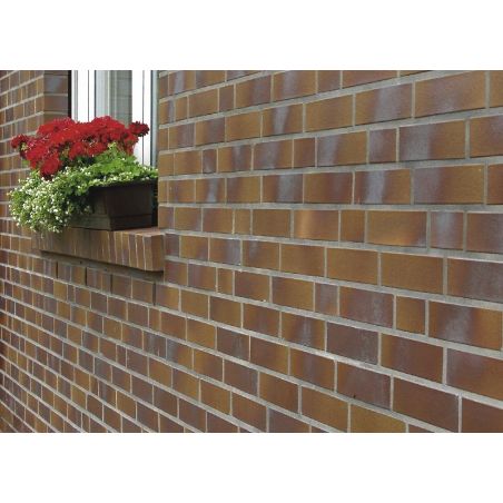 Клинкерный кирпич Calau