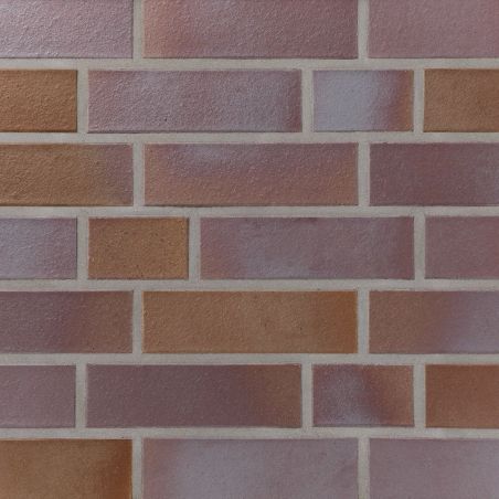 Клинкерный кирпич Calau