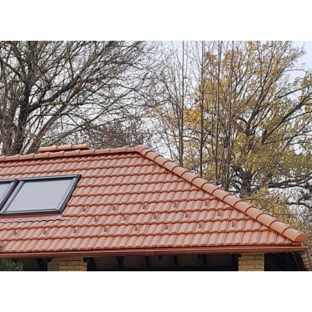 Черепица D10 натуральная красная