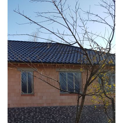 Block 38 Heluz Family Ceramic