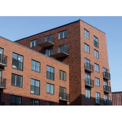 Плитка клинкерная Red Flamed...