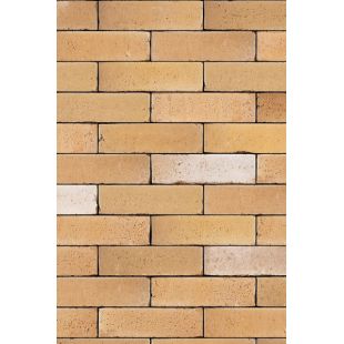 Hand-formed bricks Amudsen...