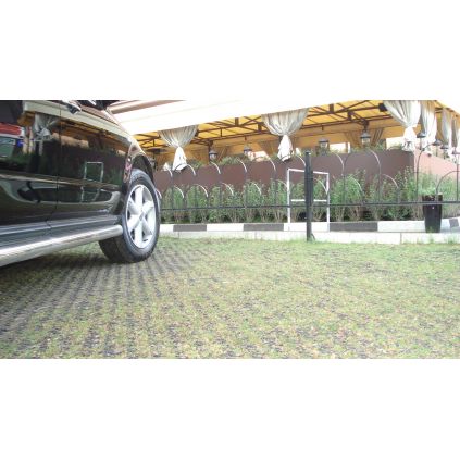 Grilles for lawns green