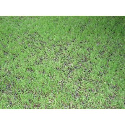 Решітка газонна чорна